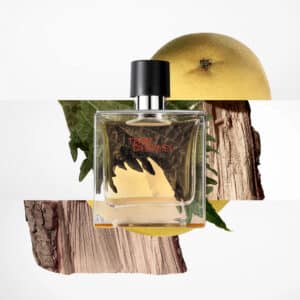 Terre d’Hermès Parfum